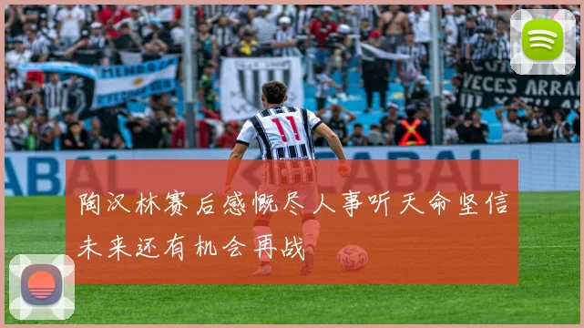 陶汉林赛后感慨尽人事听天命坚信未来还有机会再战